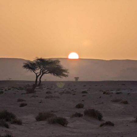 Mhamid Sahara Camp - Mhamid El Ghizlane Hotel M'Hamid Buitenkant foto