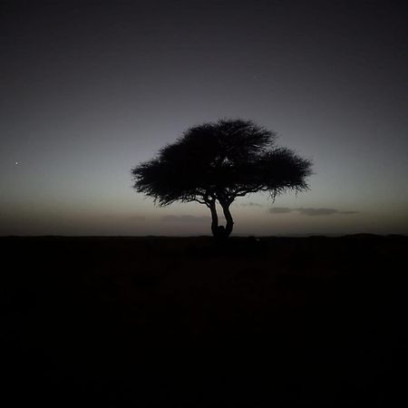Mhamid Sahara Camp - Mhamid El Ghizlane Hotel M'Hamid Buitenkant foto