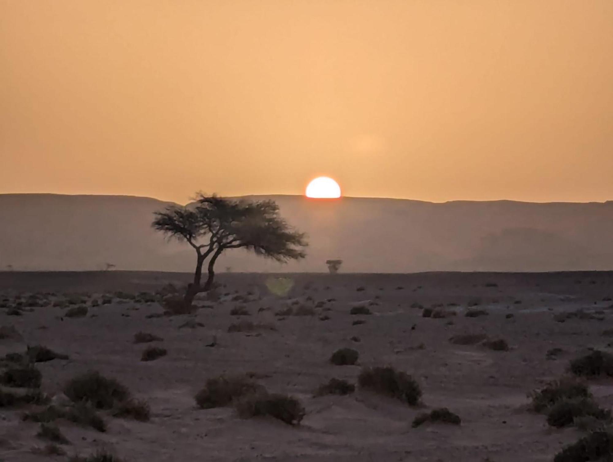 Mhamid Sahara Camp - Mhamid El Ghizlane Hotel M'Hamid Buitenkant foto