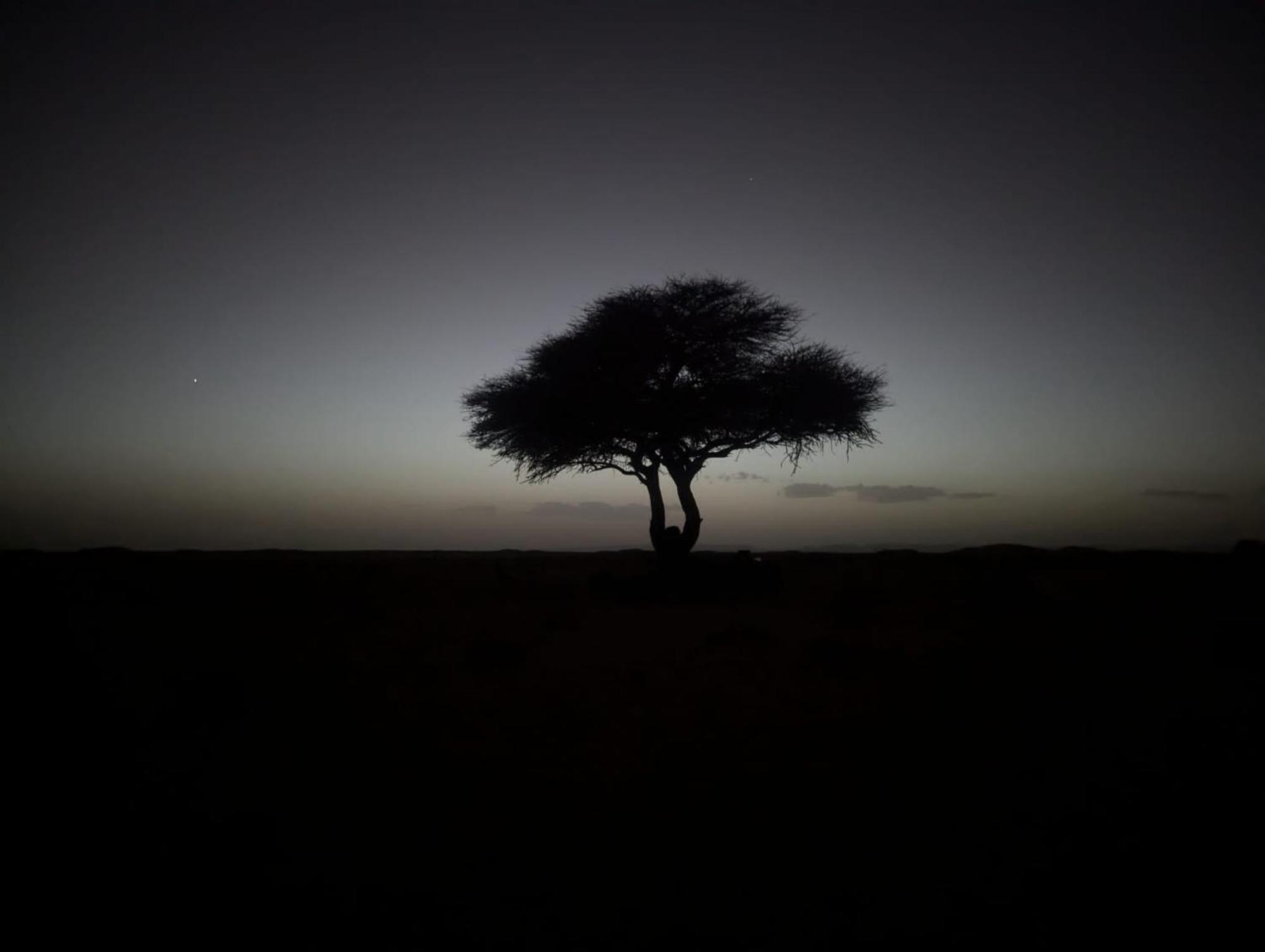 Mhamid Sahara Camp - Mhamid El Ghizlane Hotel M'Hamid Buitenkant foto